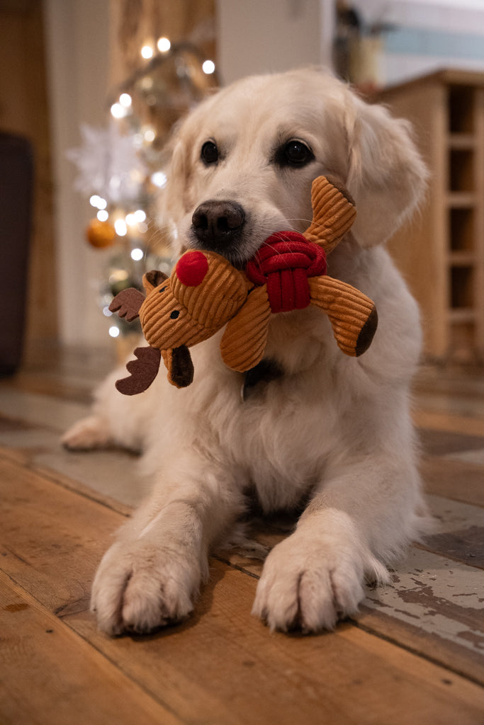 Petface Riley Reindeer Rope Ball Plush Dog Toy