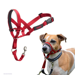 Halti Dog Headcollar Red