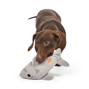 Seriously Strong Rubberoid Shark Plush Dog Toy