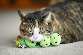 Petface Peas In A Pod Plush Cat Toy