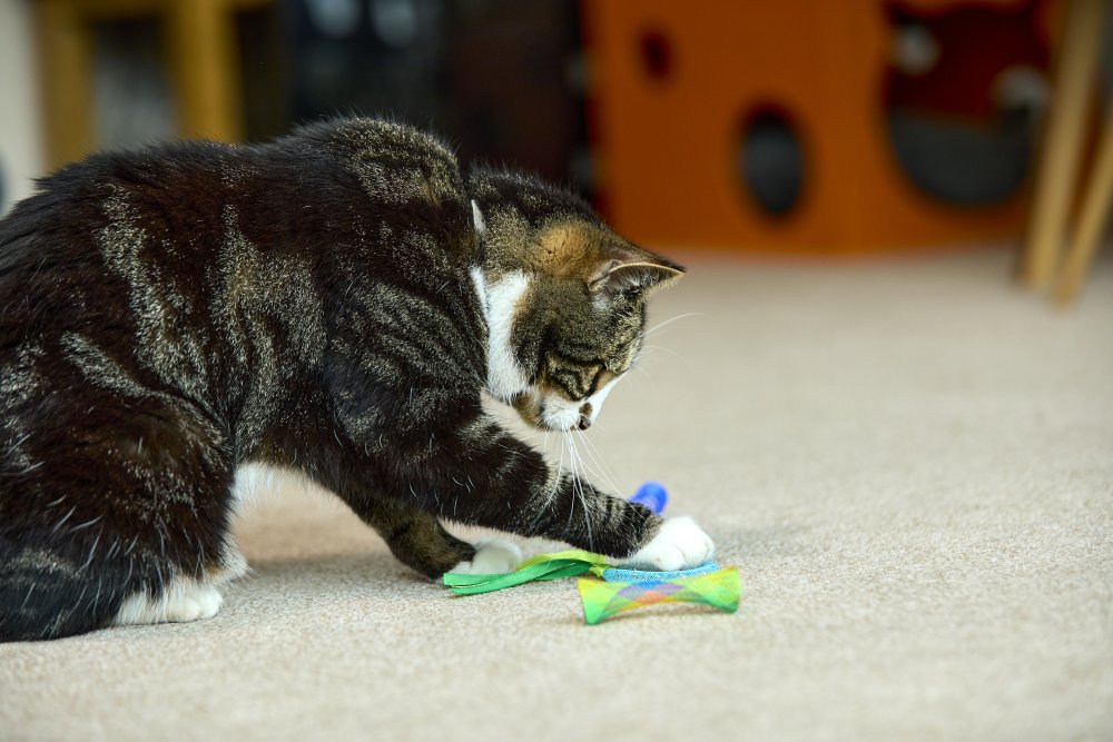 Petface Catkins 3 Springy Cat Toys 3pk