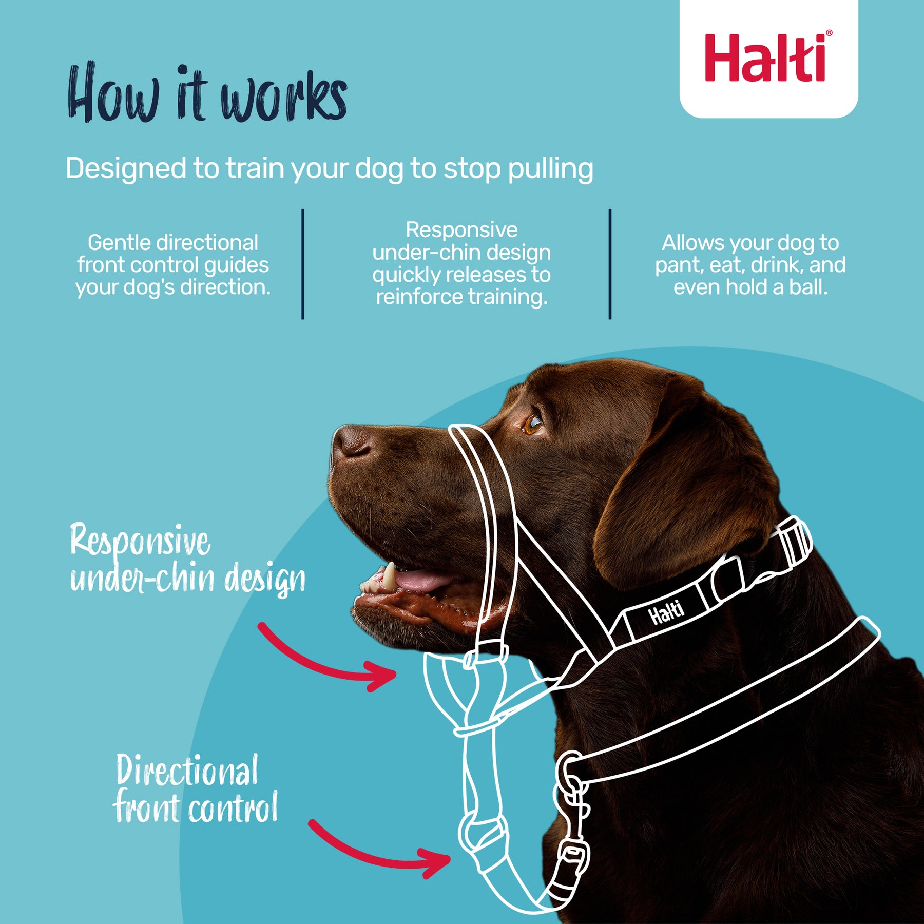 Halti Dog Headcollar Red