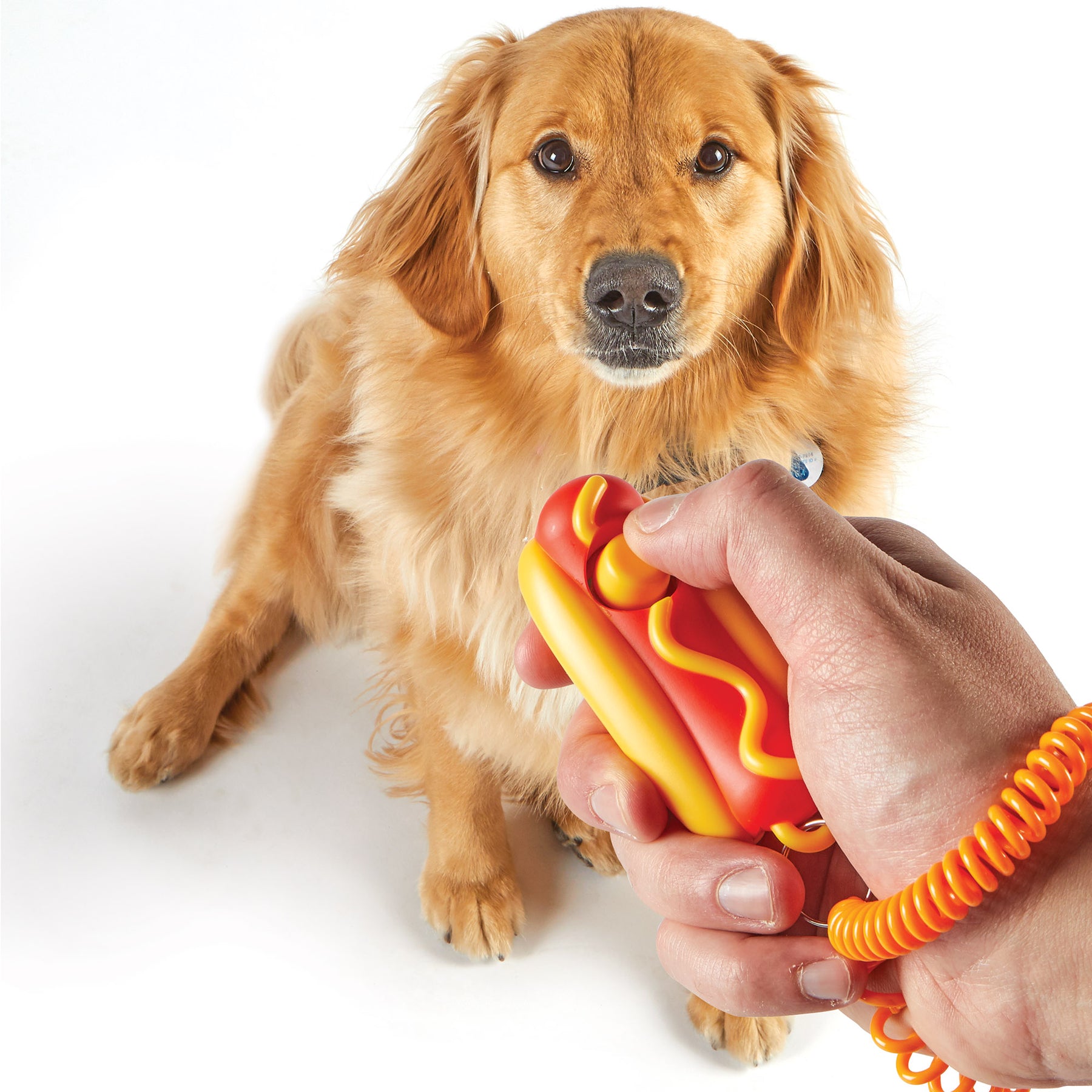 Brightkins Smarty Pooch Training Clicker - Hot Dog