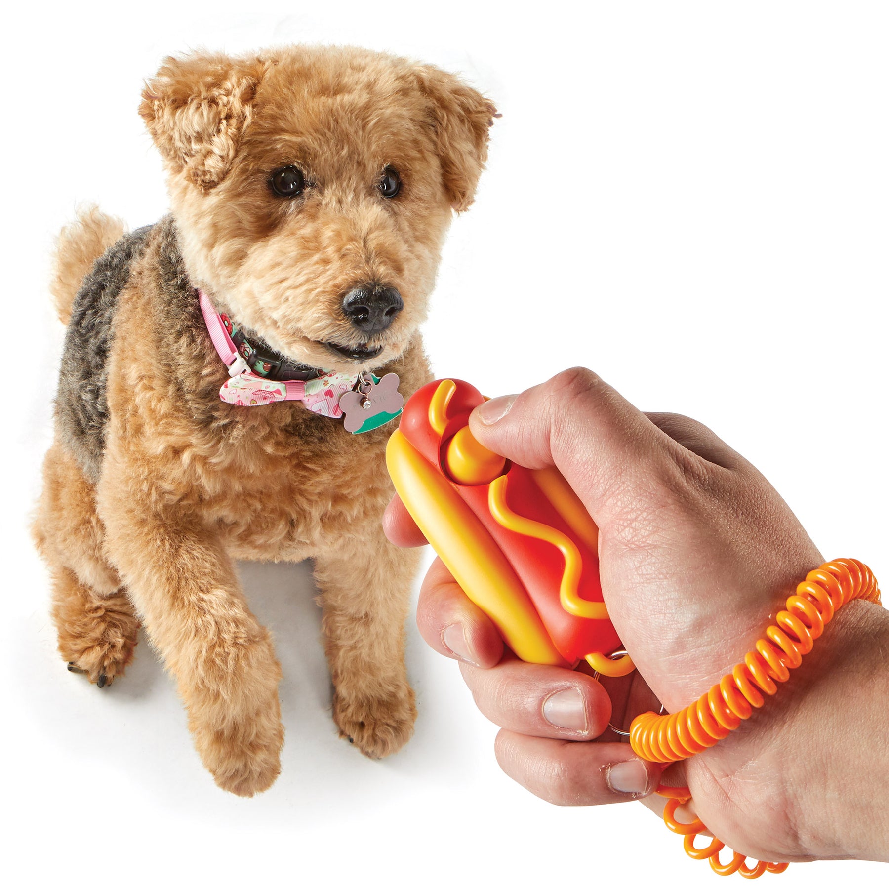 Brightkins Smarty Pooch Training Clicker - Hot Dog