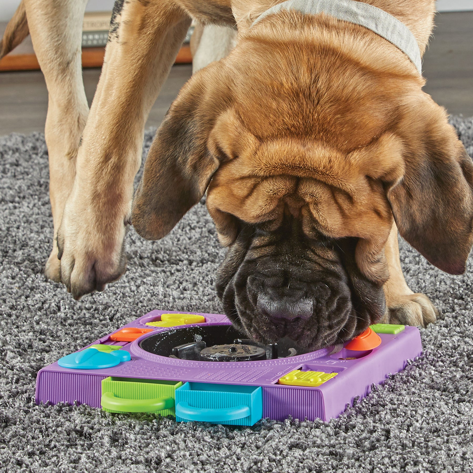 Brightkins DJ Doggo Puzzle Feeder