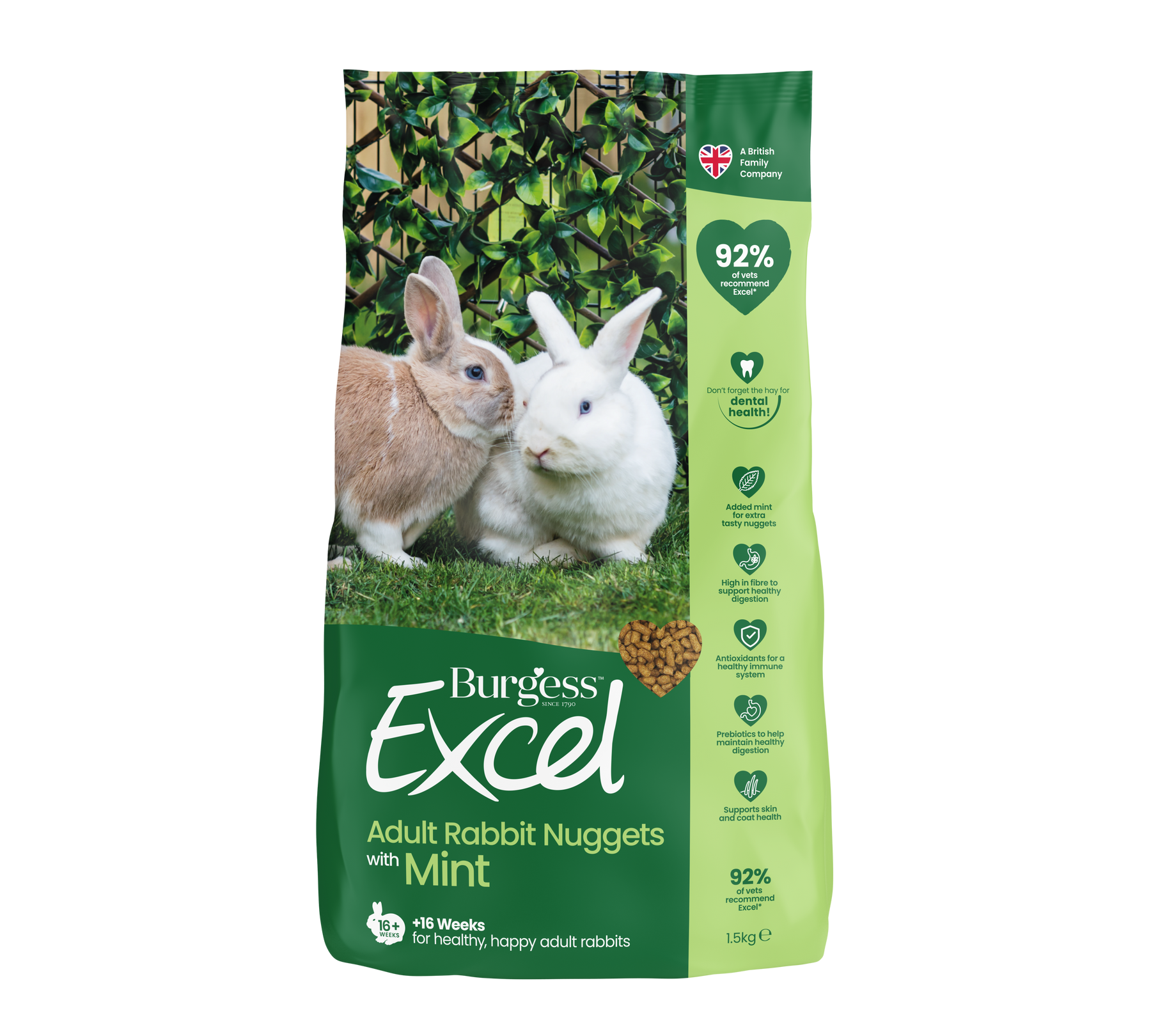 Burgess Excel Adult Rabbit Nuggets with Mint