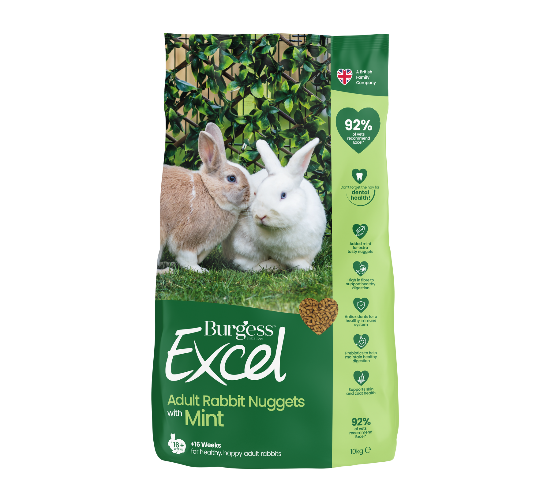 Burgess Excel Adult Rabbit Nuggets with Mint