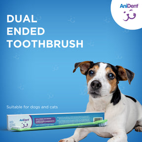 AniDent Dual-Ended Toothbrush