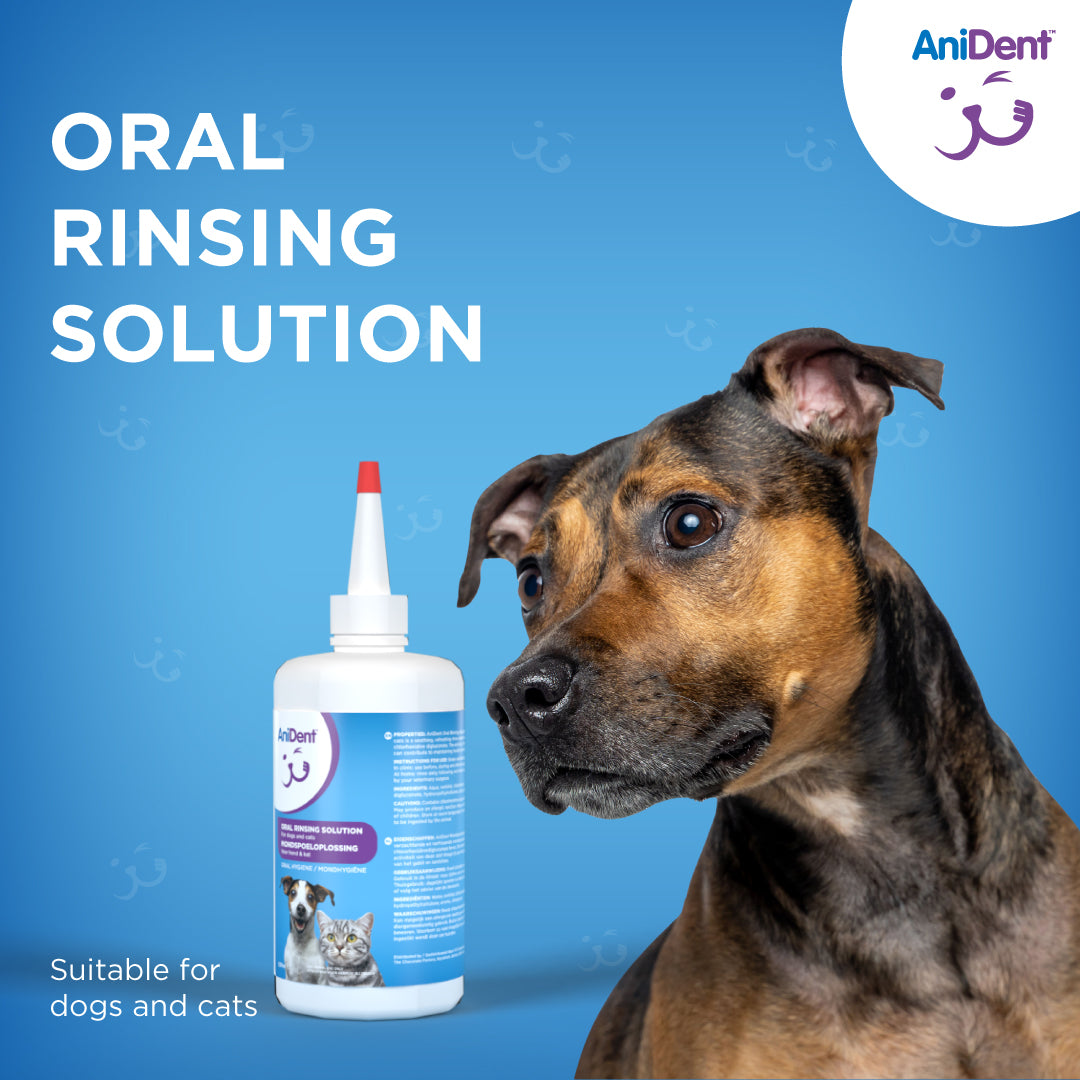 AniDent Oral Rinsing Solution