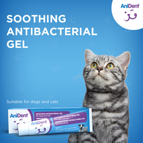 AniDent Soothing Dental Gel