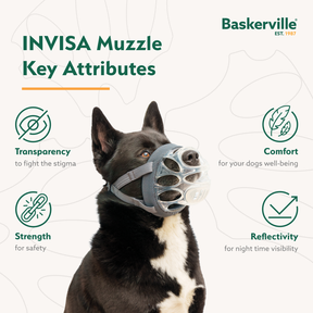 Baskerville INVISA Muzzle (6 sizes)