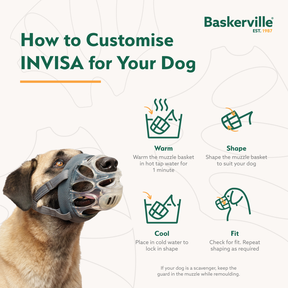 Baskerville INVISA Muzzle (6 sizes)