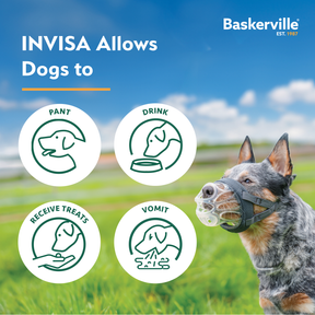 Baskerville INVISA Muzzle (6 sizes)