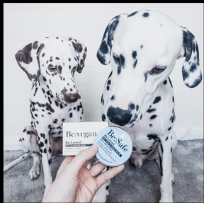 Be:Safe First Aid Nose & Paw Balm