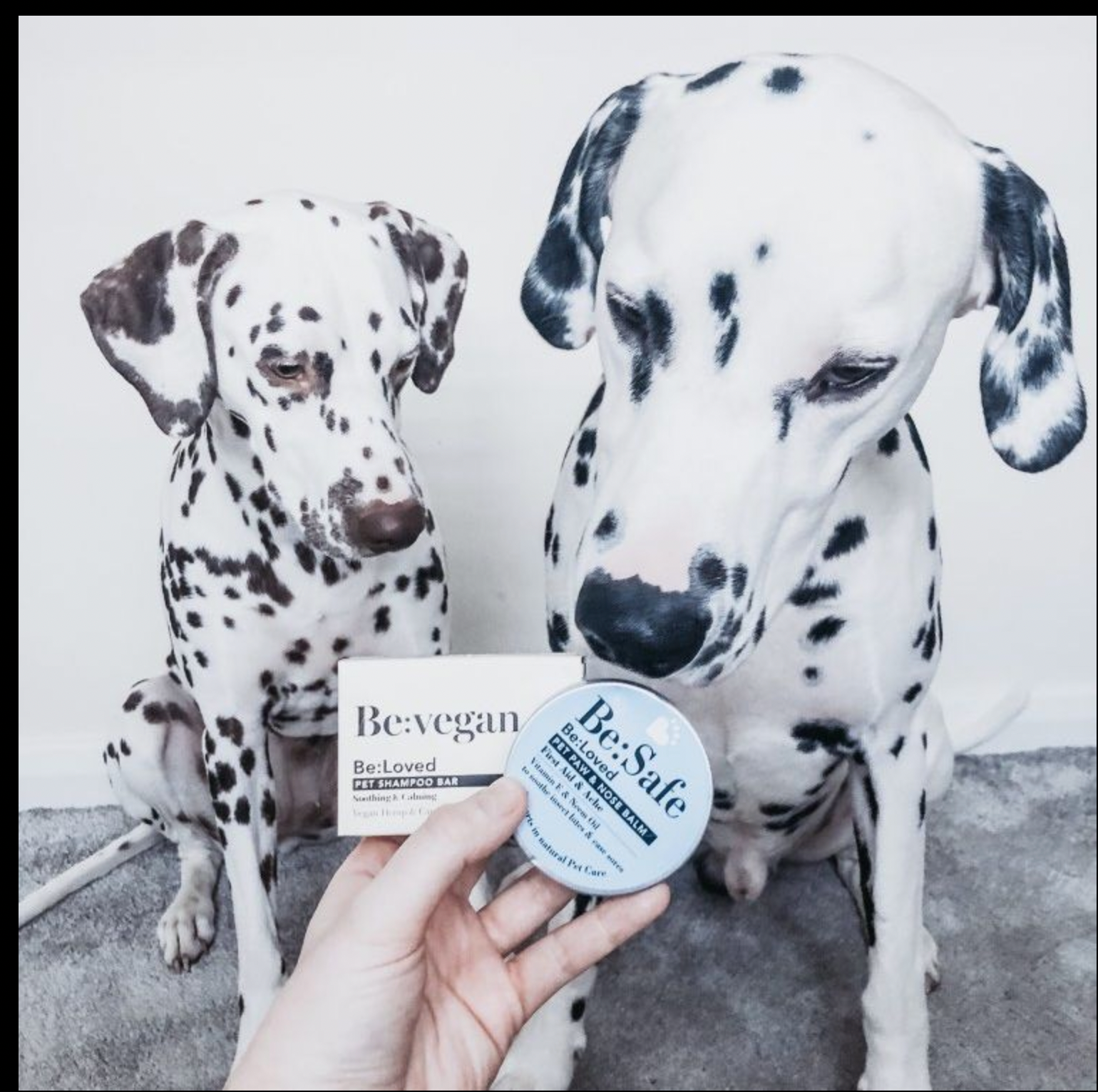 Be:Vegan Pet Shampoo Bar