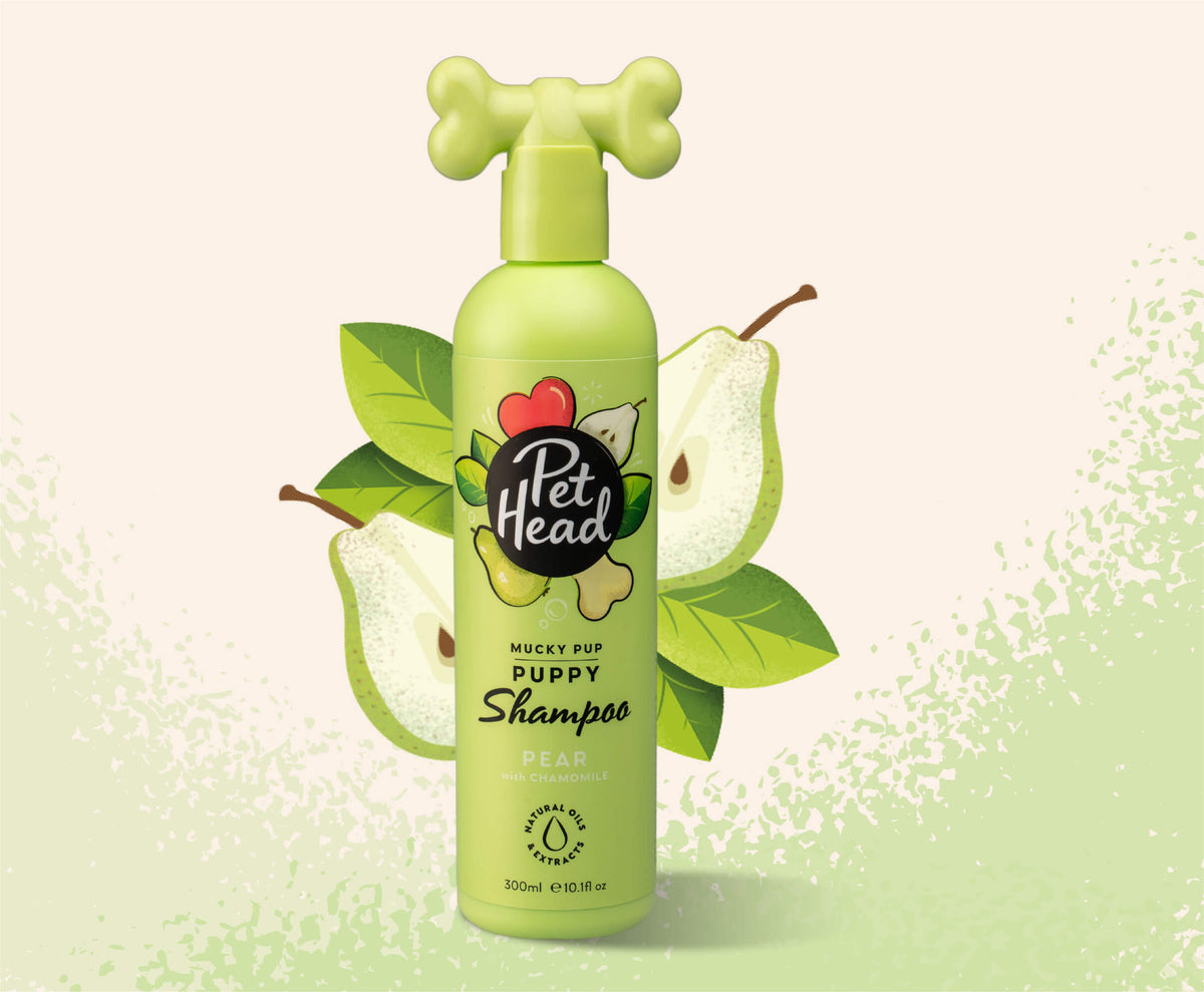 Pet Head Mucky Puppy Shampoo