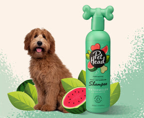 Pet Head Furtastic Knot Detangler Shampoo