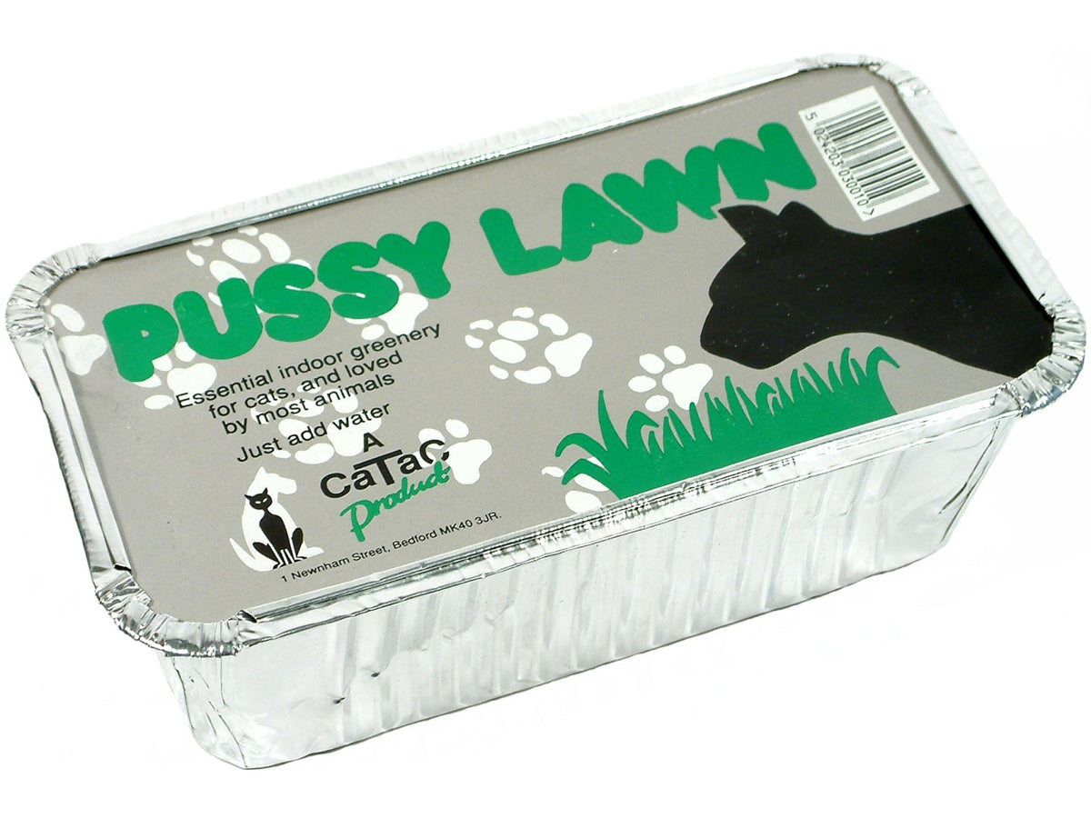 Pussy Lawn (Indoor Cat Grass)