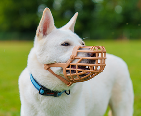 Baskerville Classic Basket Dog Muzzle