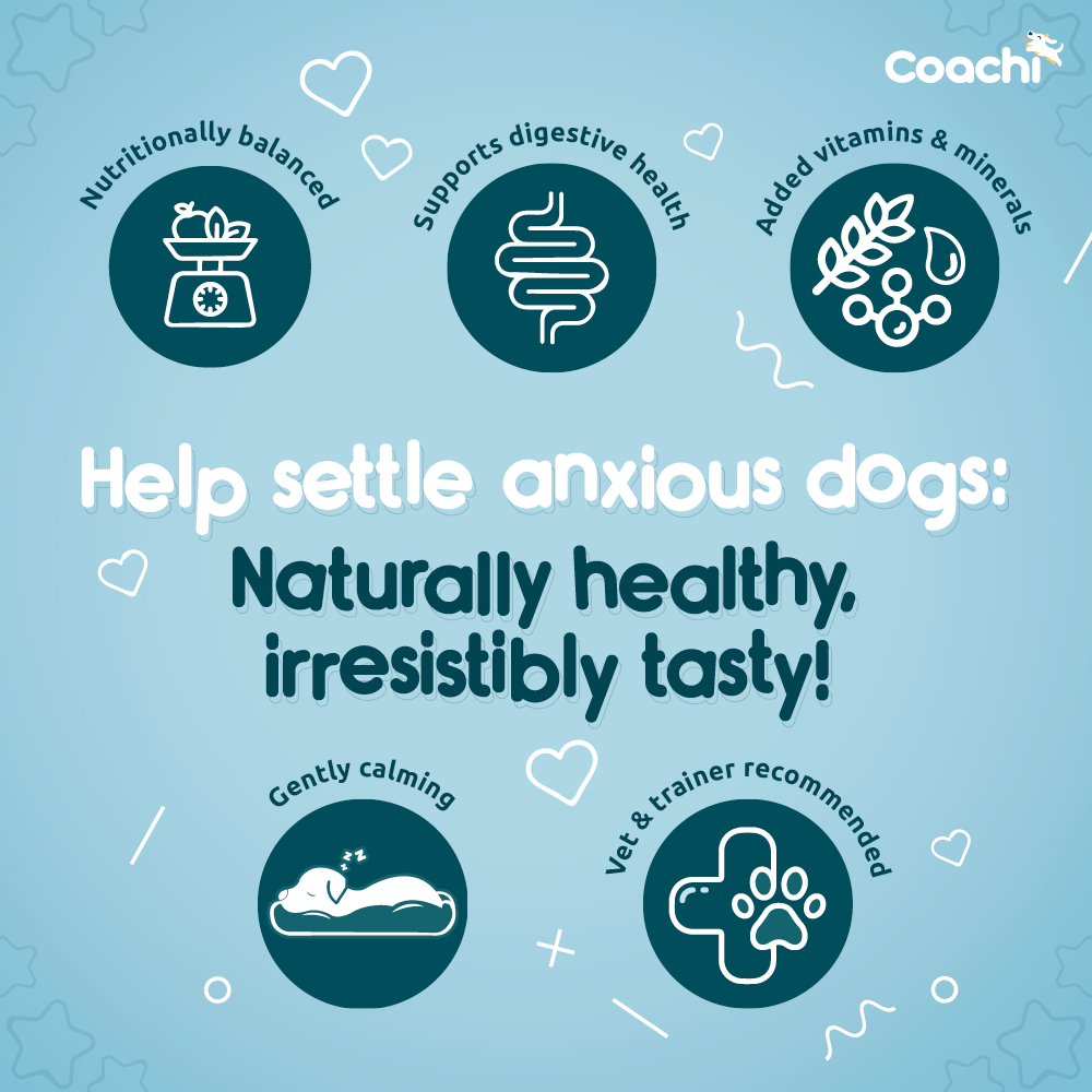 Coachi Natural Calming Treats Turkey