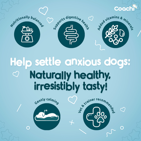 Coachi Natural Calming Treats Turkey