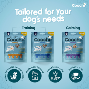 Coachi Natural Calming Treats Turkey