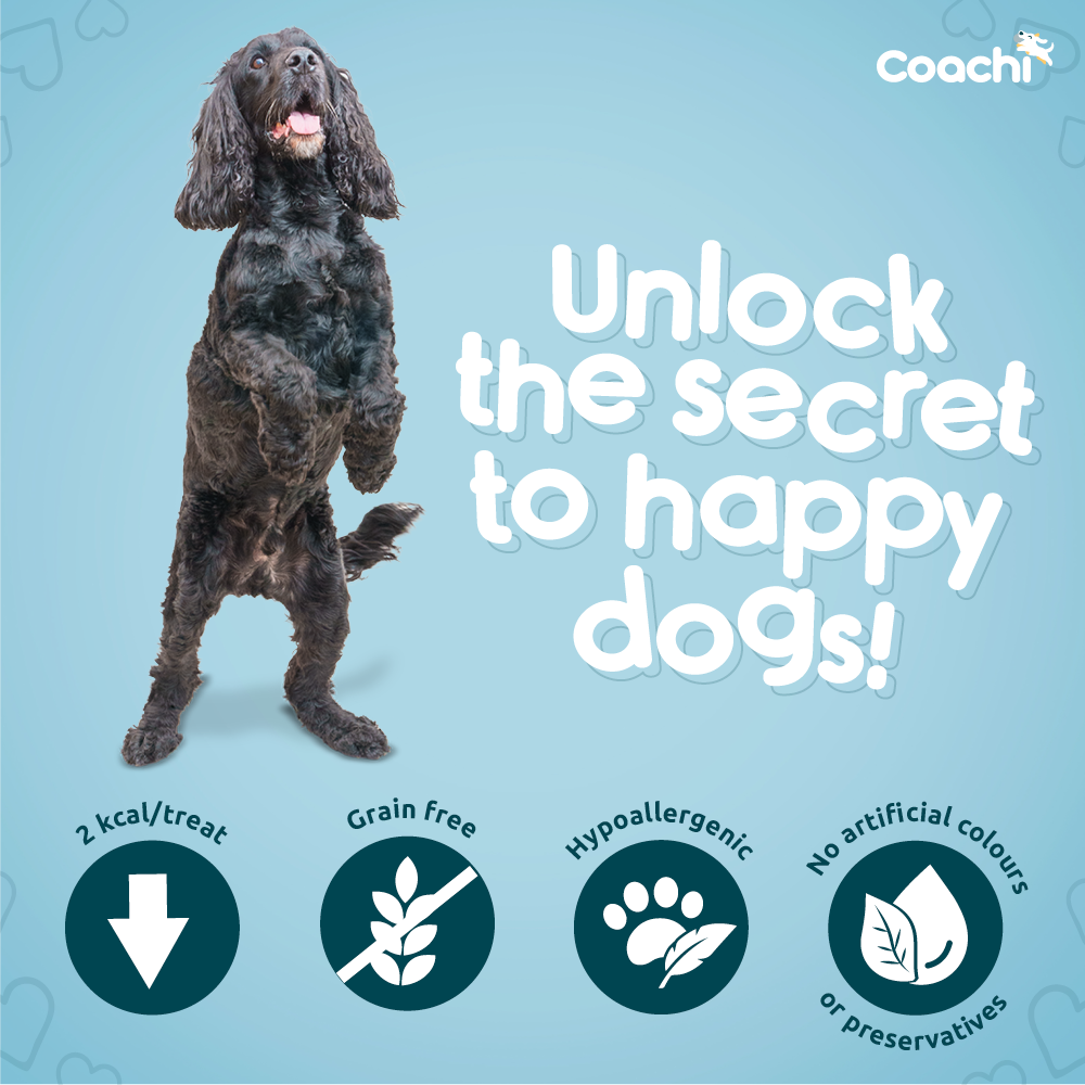 Coachi Puppy Natural Training Treats Chicken