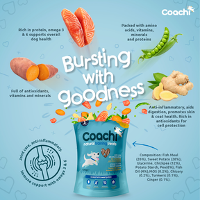 Coachi Natural Training Treats Ocean Fish