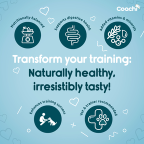 Coachi Natural Training Treats Ocean Fish