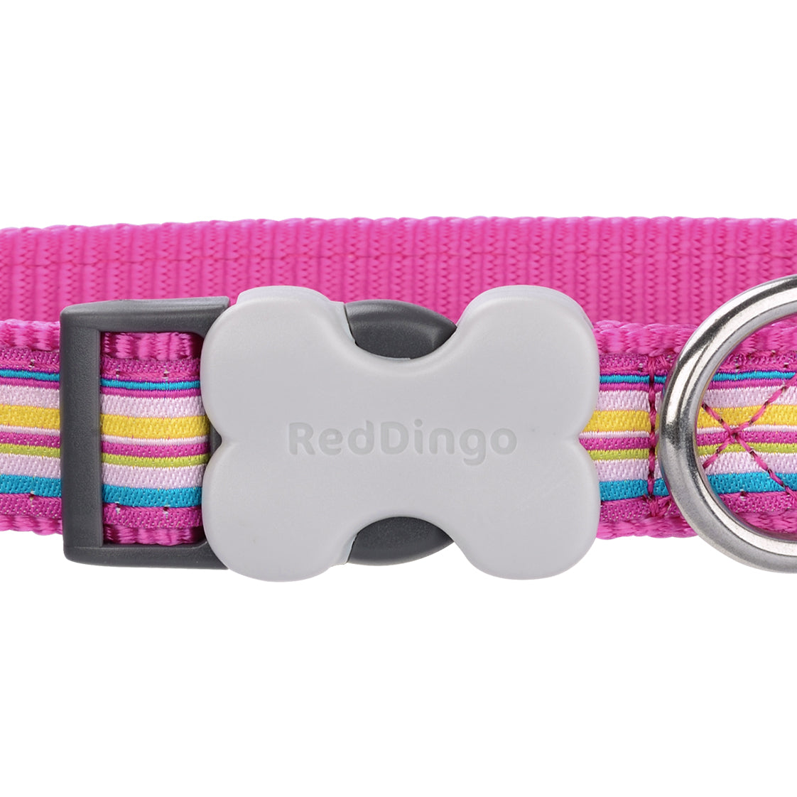 Red Dingo Hot Pink Stripe Dog Collar