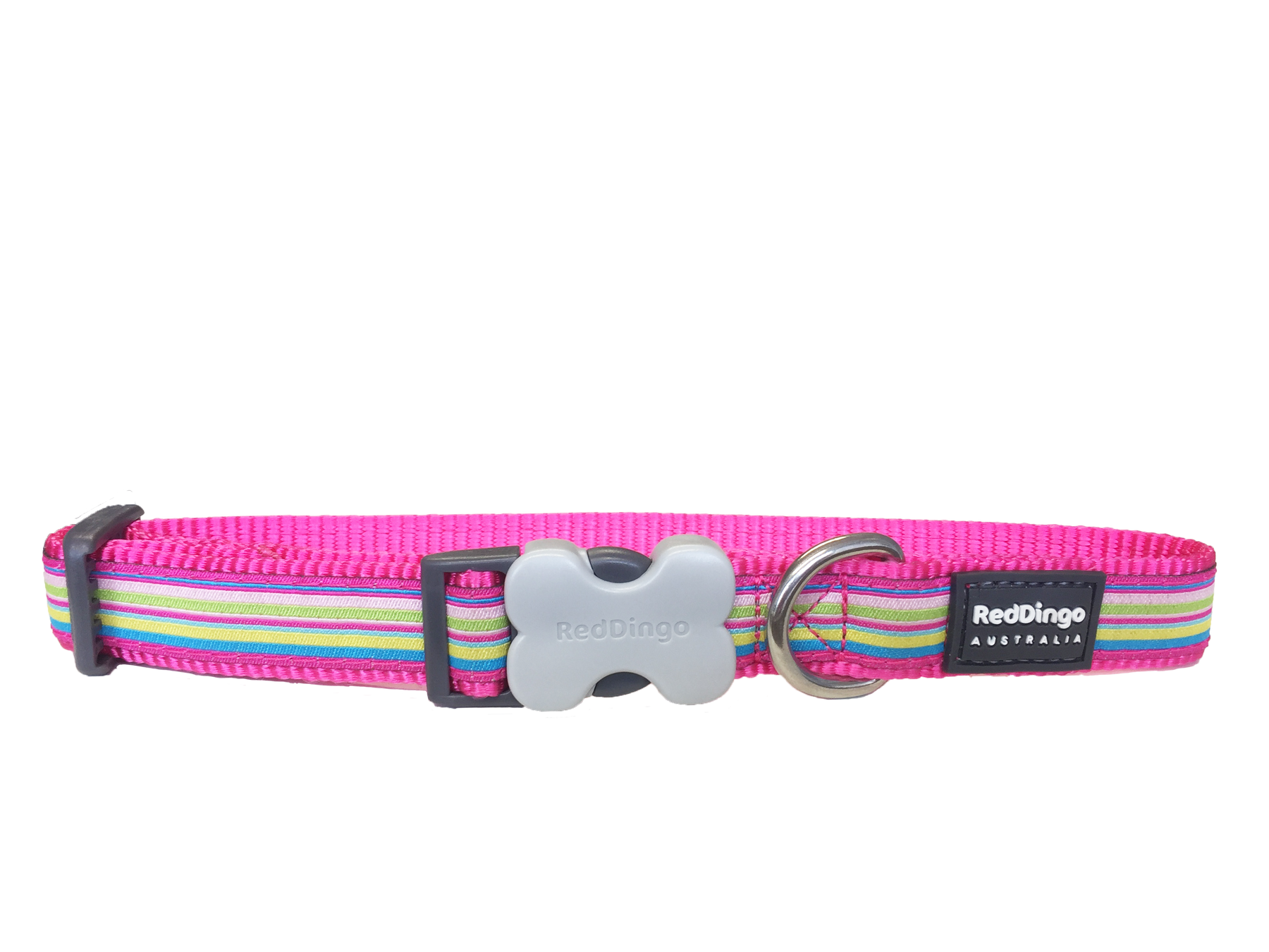 Red Dingo Hot Pink Stripe Dog Collar