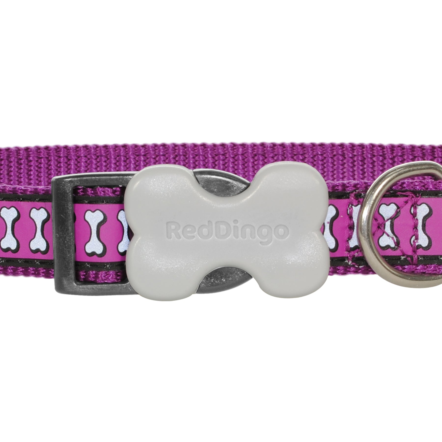 Red Dingo Reflective Purple Dog Collar