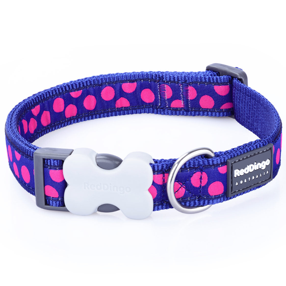 Red Dingo Pink Spots Blue Dog Collar