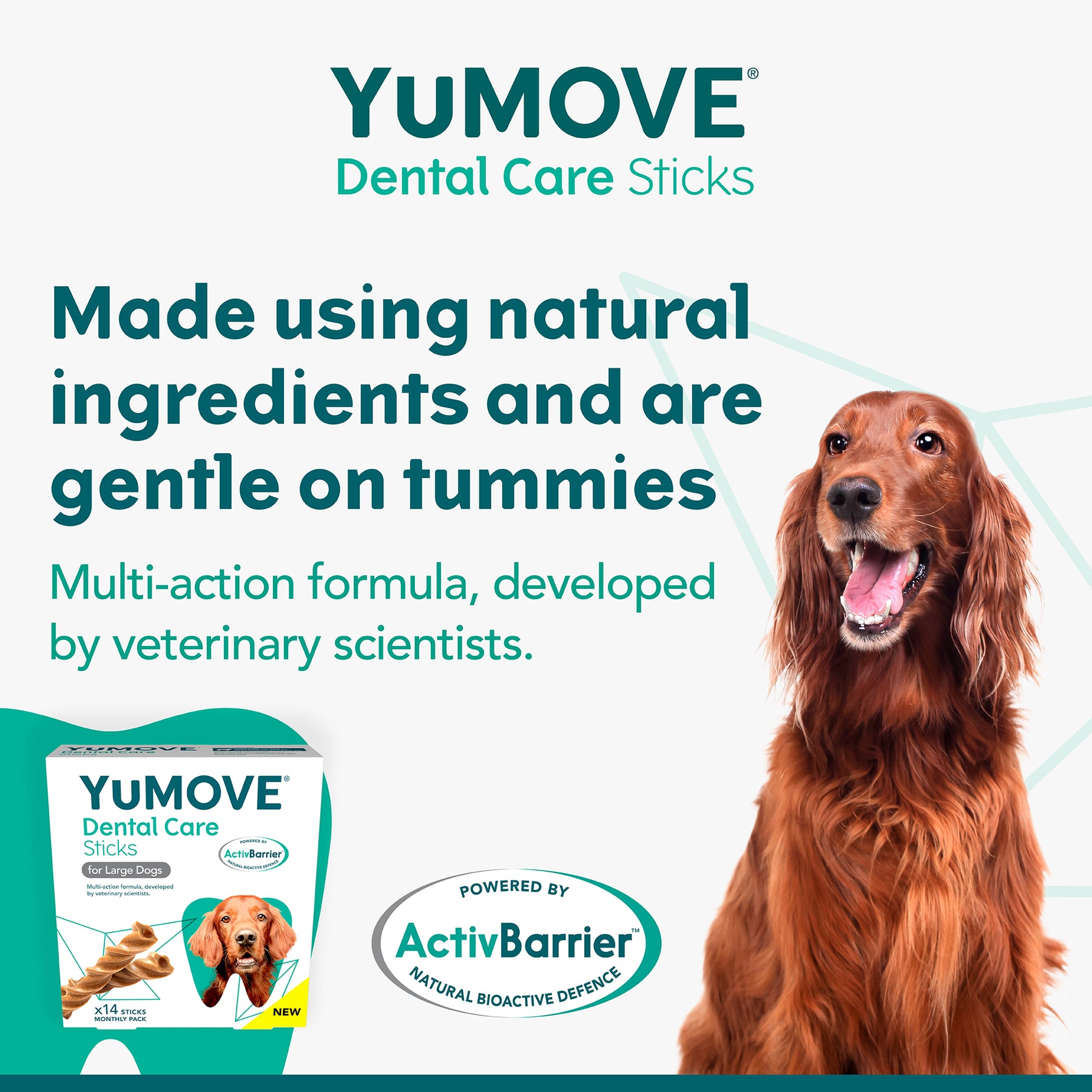 YuMOVE Dental Care For Dogs (14 sticks)