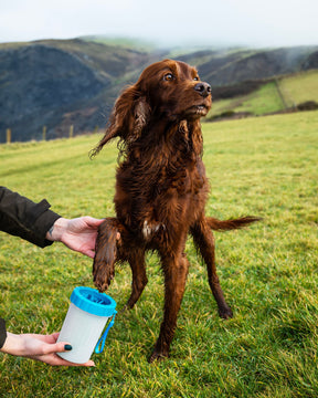 Henry Wag Pet Paw Cleaner