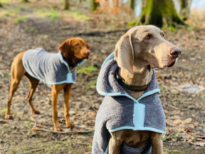 Henry Wag Drying Coat Grey/Blue (5 sizes)