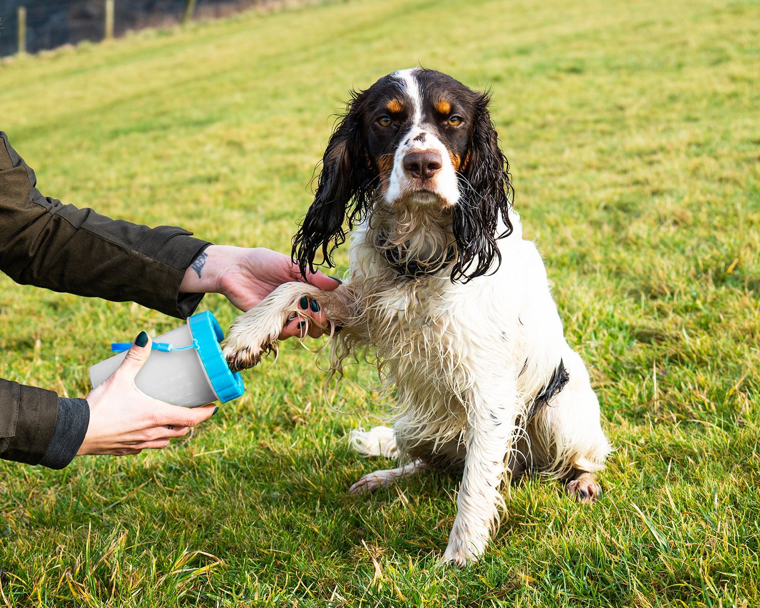 Henry Wag Pet Paw Cleaner