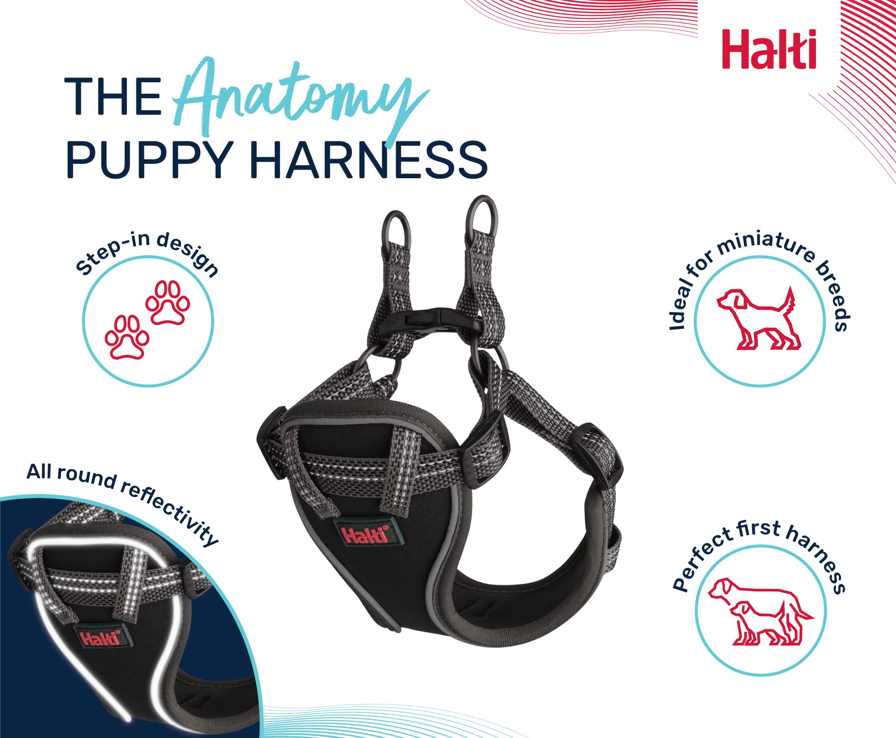 Halti Anatomy Puppy Harness Grey (2 sizes)