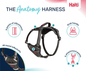 Halti Anatomy Harness Grey (5 sizes)