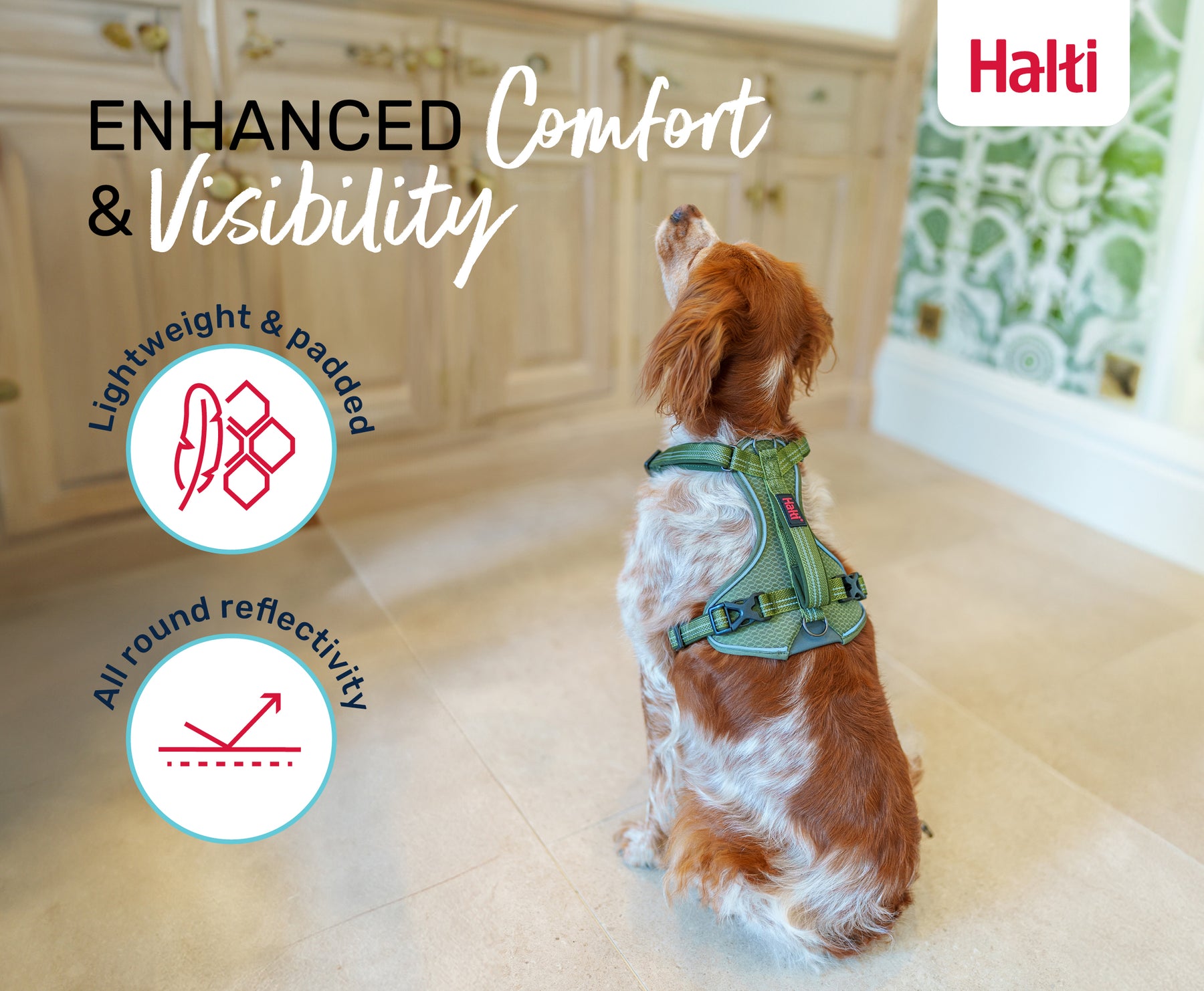 Halti Anatomy Harness Teal (5 sizes)