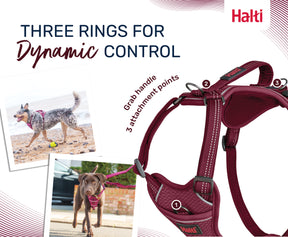 Halti Anatomy Harness Magenta (5 sizes)