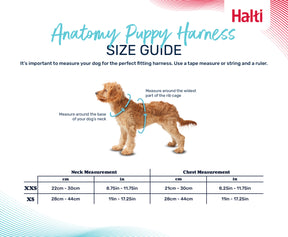 Halti Anatomy Puppy Harness Grey (2 sizes)