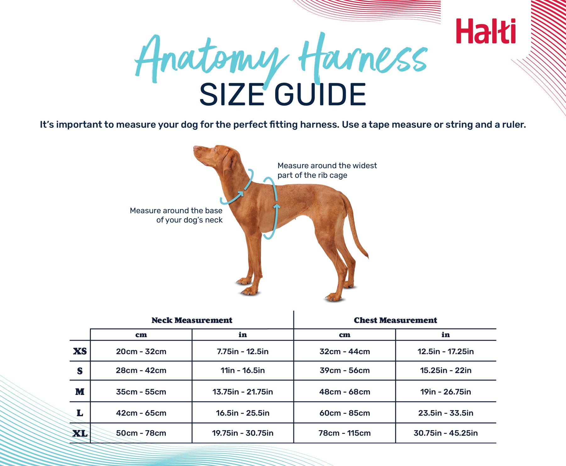 Halti Anatomy Harness Grey (5 sizes)