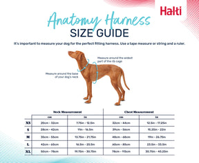 Halti Anatomy Harness Grey (5 sizes)