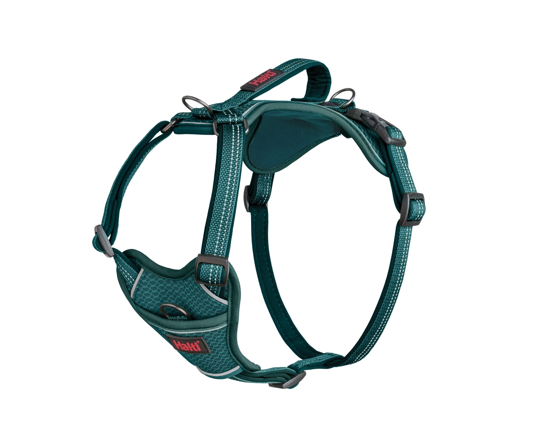 Halti Anatomy Harness Teal (5 sizes)