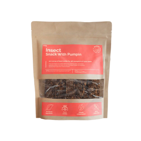 Buddy Insect Snack With Pumpkin 100g