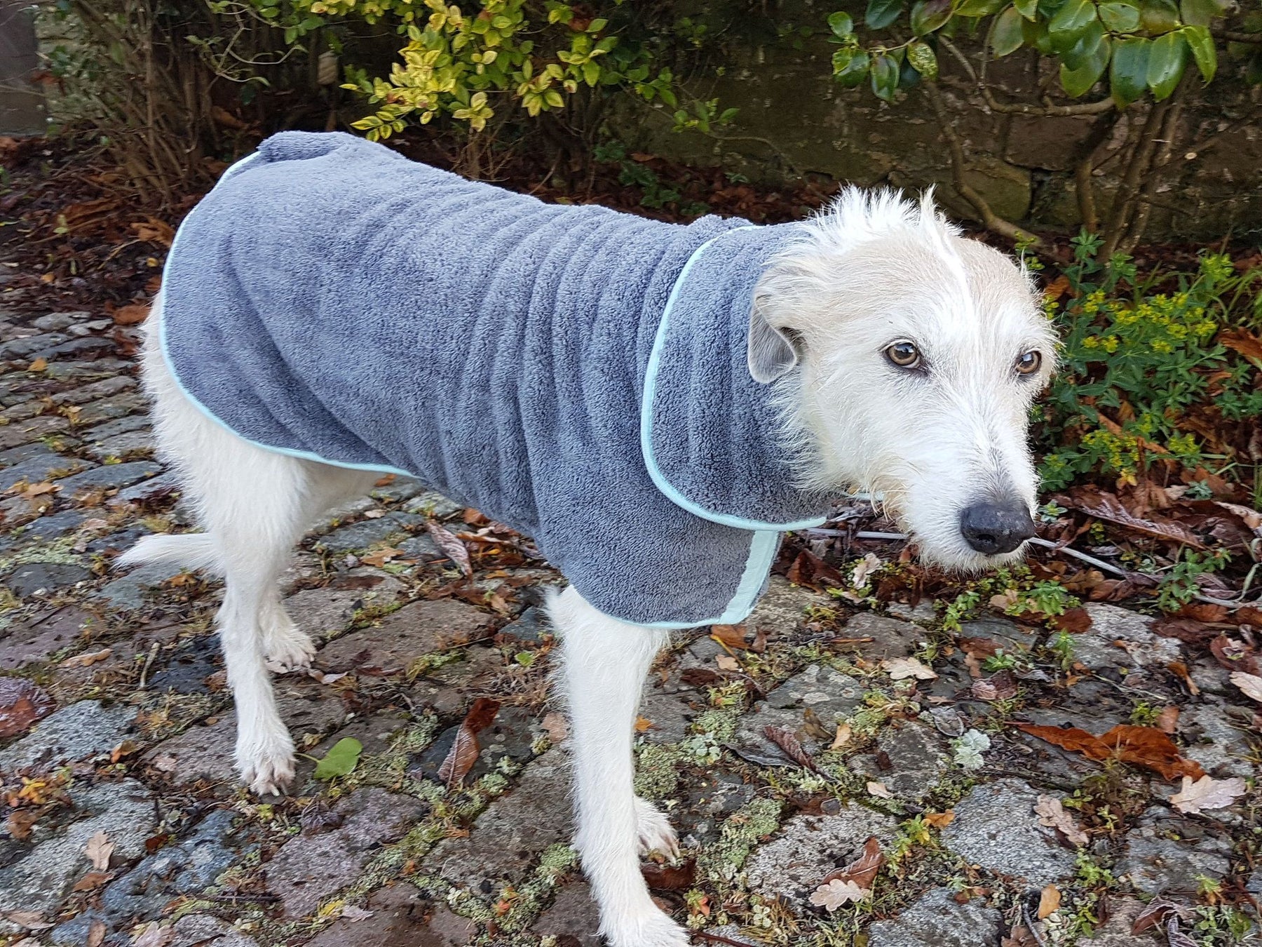 Henry Wag Drying Coat Grey/Blue (5 sizes)