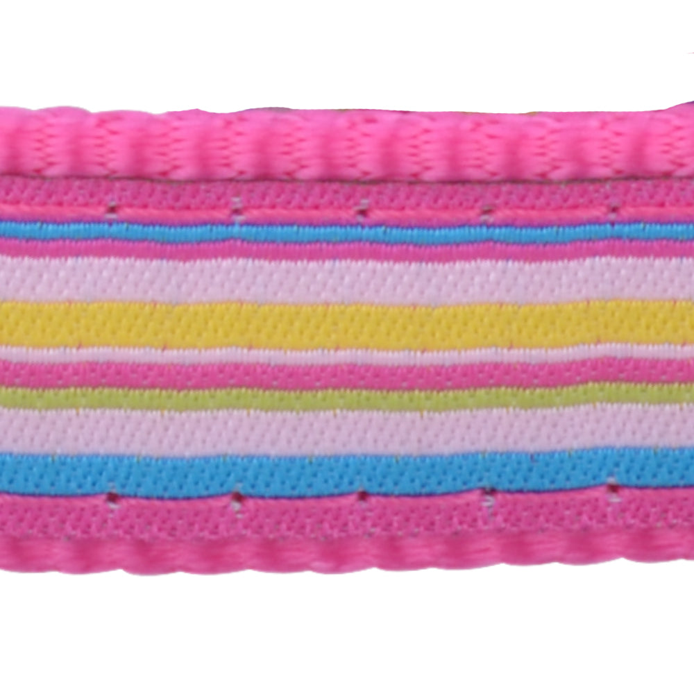 Red Dingo Hot Pink Stripe Dog Collar