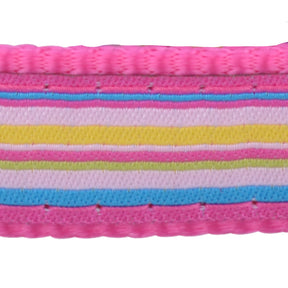 Red Dingo Hot Pink Stripe Dog Collar