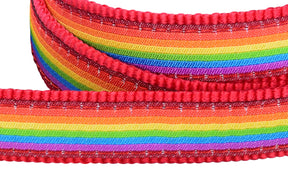 Red Dingo Rainbow Dog Lead